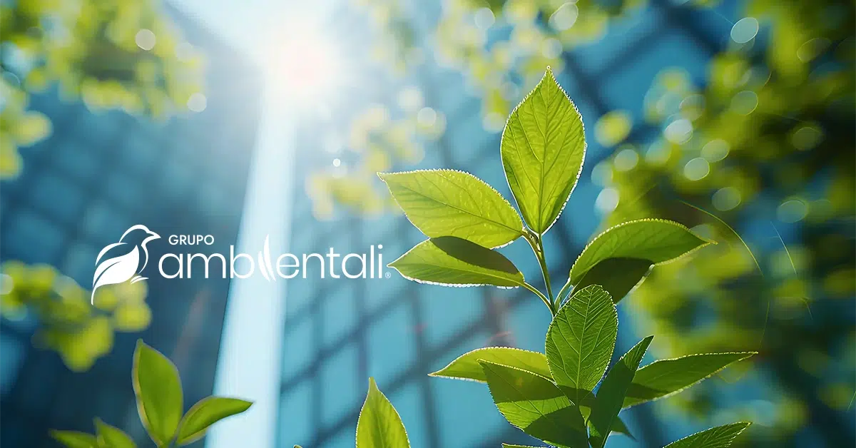 Ambientali Consultoria e Licenciamento